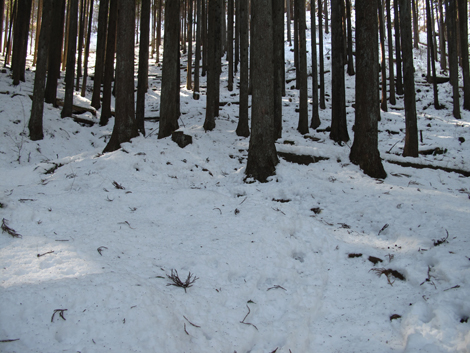 20180209hike (29)